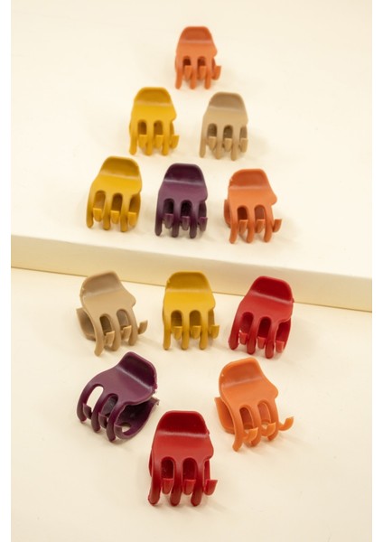 Kadın 12'li Renkli Tırmık Toka Seti