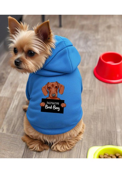 Wanted Brownie Baskili Ici Polarli Köpek Kıyafeti Sweatshirt