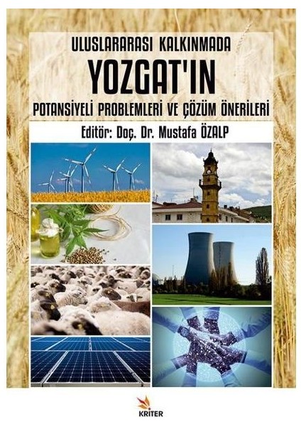 Uluslararası Kalkınmada Yozgat'ın Potansiyeli Problemleri ve Çözüm Önerileri