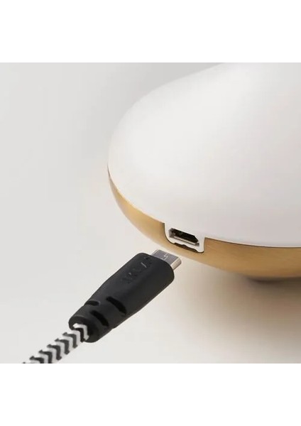 Bjorkpırea Dekoratif Aydınlatma Beyaz 2 Adet modelleri