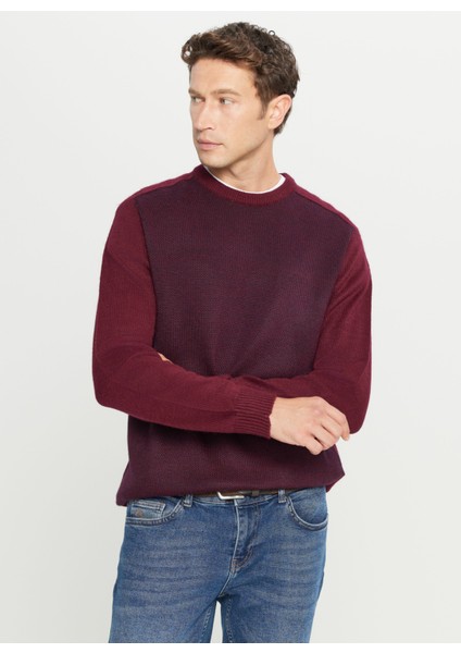 Bisiklet Yaka Standart Lacivert - Bordo Erkek Kazak ACE049261478_BRL modelleri