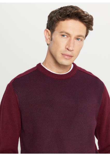 Bisiklet Yaka Standart Lacivert - Bordo Erkek Kazak ACE049261478_BRL fırsatları