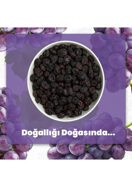Kurutulmuş Üzüm 100 gr indirimleri