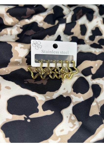 Çelik 6lı Küpe Seti