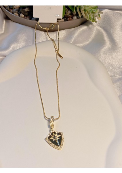 14 K Kaplama Kutup Yıldızı Detaylı Çelik Kolye