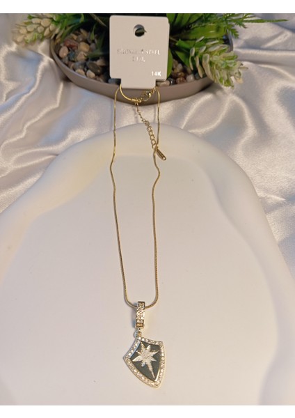 14 K Kaplama Kutup Yıldızı Detaylı Çelik Kolye modelleri