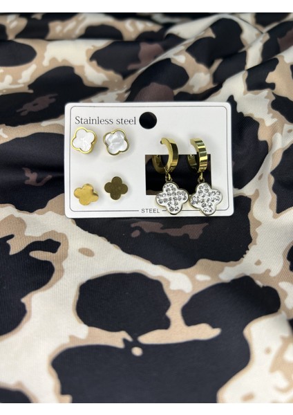 Çelik 6lı Küpe Seti