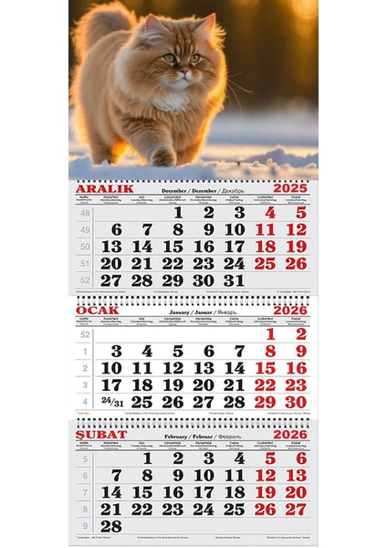 2026 Yılı Gemici Takvimi- Karda Yürüyen Kedi