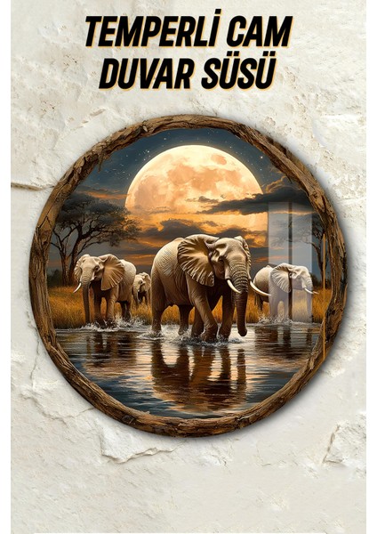 3D Görünümlü Fil ve Ay Manzarası Temperli Cam Tablo – Duvar Süsü Uv Baskı 33X33 CM-CDS096 fiyatları