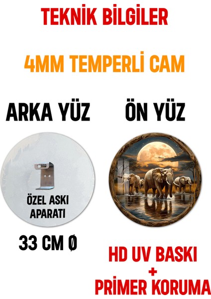3D Görünümlü Fil ve Ay Manzarası Temperli Cam Tablo – Duvar Süsü Uv Baskı 33X33 CM-CDS096