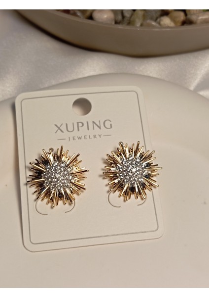 Zirkon Taş Detaylı Küpe