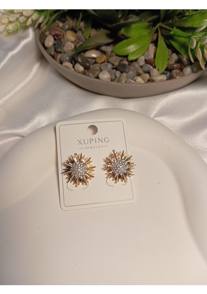 Zirkon Taş Detaylı Küpe fırsatları