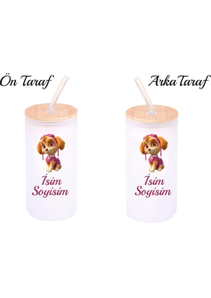 Kişiye Özel Pawpatrol Temalı Buzlu Pipetli Cam Suluk
