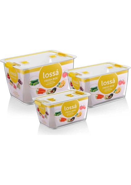 Kilitli Kapaklı 3’lü Mika Saklama Kabı Seti – Kırmızı Detaylı, Sızdırmaz