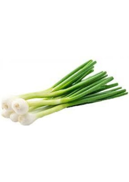 50 Adet Tohum Taze Firik Acısız Yeşil Soğan Tohumu Ata Tohum Süpriz Hediye Tohum