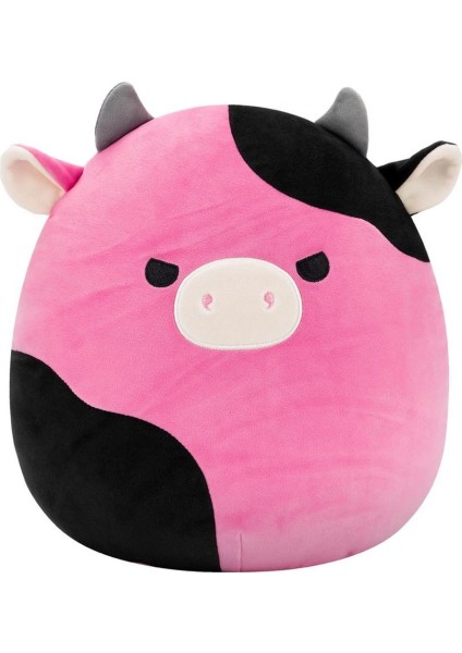 30 cm Seri F Asorti indirimleri