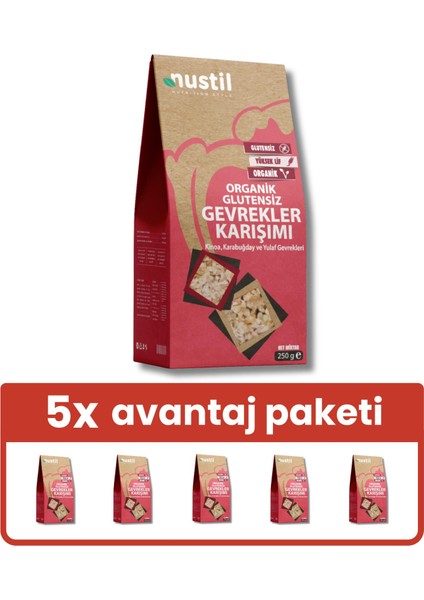 Organik Gevrekler Karışımı 250G X5