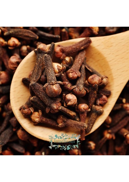 Karanfil Irmelicom fiyatları