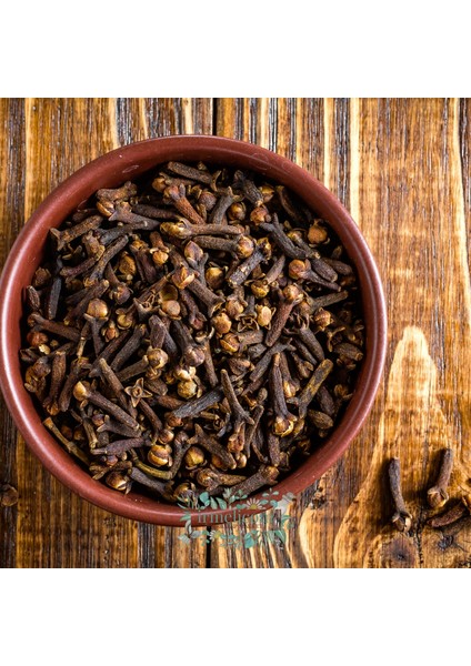 Karanfil Irmelicom modelleri