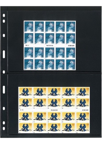 TEKSÖZ-052- Iki Bölmeli Siyah Zeminli Sayfa A4 Boyutunda,para ve Fdc Sayfası fiyatları