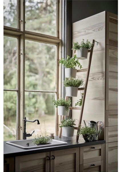 Satsumas Çiçeklik Bambu Beyaz 125 cm fırsatları