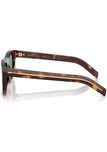 Pr B12S (15W04D) 55 | Polarize Unisex Kahverengi Güneş Gözlüğü fiyatları