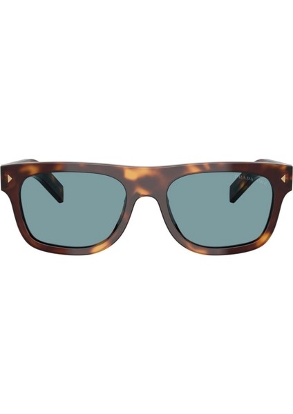 Pr B12S (15W04D) 55 | Polarize Unisex Kahverengi Güneş Gözlüğü modelleri