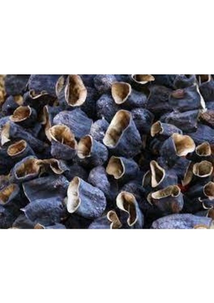 100 Adet Yeni Mahsül Gaziantep Yeli Hormonsuz Topak Kurutulmuş Patlıcan Kaliteli Kuru Patlıcan fiyatları