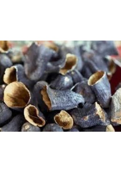 100 Adet Yeni Mahsül Gaziantep Yeli Hormonsuz Topak Kurutulmuş Patlıcan Kaliteli Kuru Patlıcan modelleri