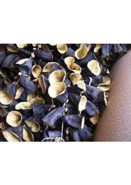 100 Adet Yeni Mahsül Gaziantep Yeli Hormonsuz Topak Kurutulmuş Patlıcan Kaliteli Kuru Patlıcan fırsatları