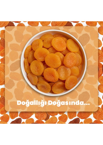 Kurutulmuş Kayısı 50 gr fırsatları