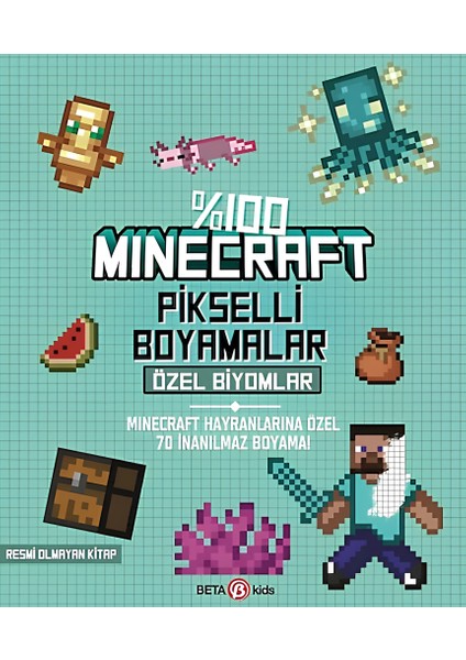 %100 Minecraft Pikselli Boyamalar Özel Biyomlar