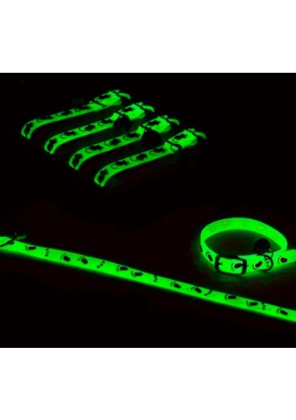 Fosforlu Çıngıraklı Ayarlanabilir Mavi Pati Desenli Kedi Tasması fırsatları