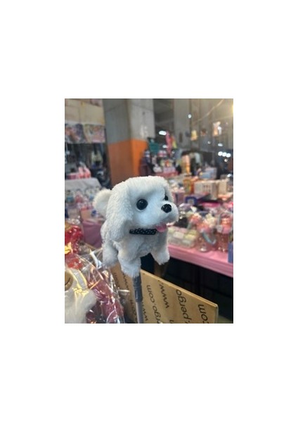 Yürüyen ve Havlayan Peluş Köpek modelleri
