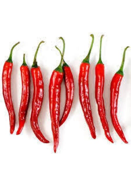 Tohum Süper Paket Şili Biberi Tohumu Çok Acı Chili Biberi Tohumu 160 Adet fiyatları