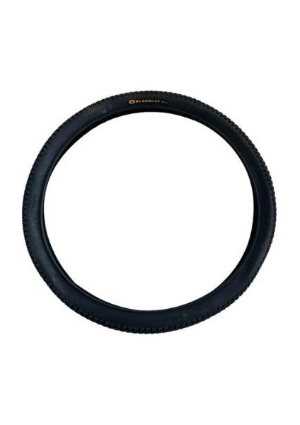Black Cat 5mm Zırhlı 29X2.10 Zırhlı Dağ Bisikleti Lastiği 2 Adet Dış 2 Adet Iç Ön Arka Lastik Seti fiyatları
