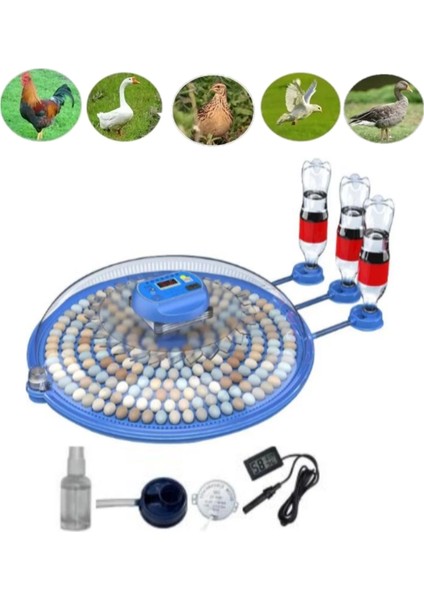 80/240 Kapasiteli Çift Viyollü Kuluçka Makinesi Kaz Ördek Tavuk Bıldırcın Kuşlar Için ( Lisinya ) fiyatları