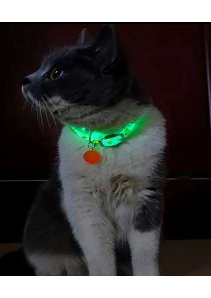 Fosforlu Çıngıraklı Ayarlanabilir Mor Pati Desenli Kedi Tasması