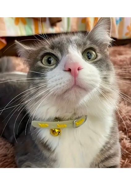 Fosforlu Çıngıraklı Ayarlanabilir Sarı Balık Desenli Kedi Tasması