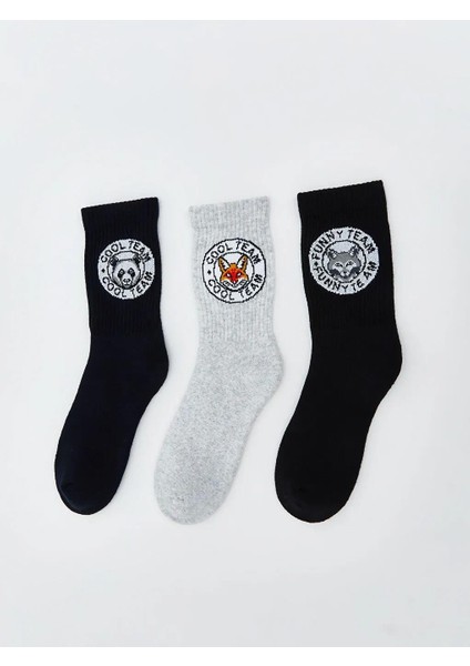 Desenli Erkek Çocuk Soket Çorap 3'lü (W5)