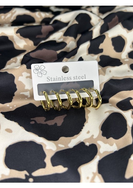 Çelik 6lı Küpe Seti