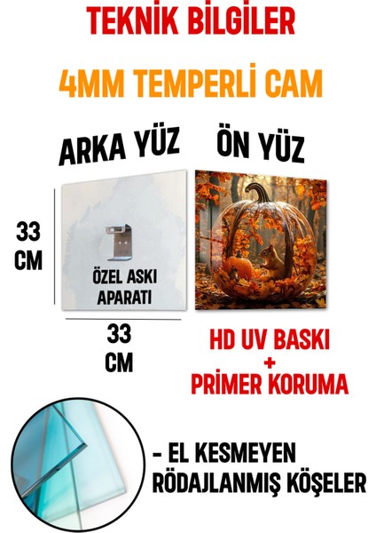3D Görünümlü Temperli Cam Tablo – Sonbahar Balkabağı ve Orman Hayvanları Uv Baskı 33X33 CM-CTK070