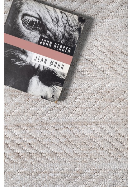 Yalın Modern Dokuma Halı Kaymaz Tabanlı Yıkanabilir Salon ve Oturma Odası Halısı 5577 Krem fiyatları