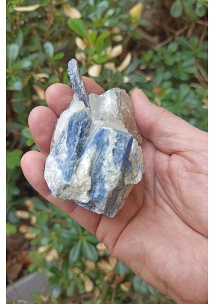 Kuvars Kristali Içinde Kyanit Koleksiyonluk Parça KY31