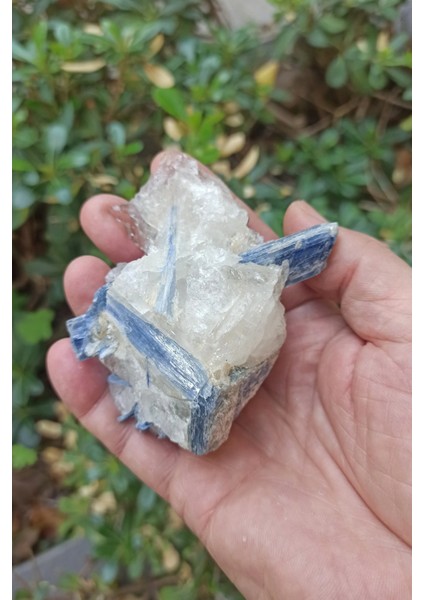 Kuvars Kristali Içinde Kyanit Koleksiyonluk Parça KY31 modelleri