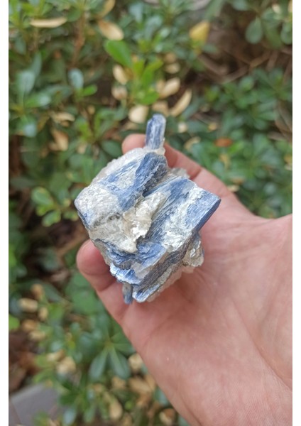 Kuvars Kristali Içinde Kyanit Koleksiyonluk Parça KY31 fırsatları