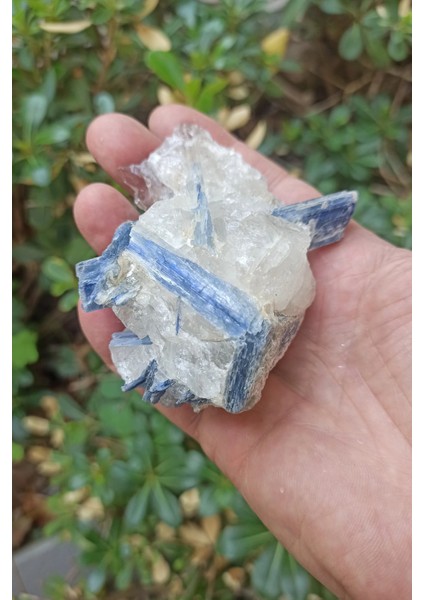 Kuvars Kristali Içinde Kyanit Koleksiyonluk Parça KY31 indirimleri