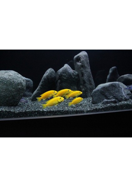 Premium Siyah Akvaryum Kumu 1-3 mm 5 kg - Bitkili Akvaryumlara Uygun modelleri