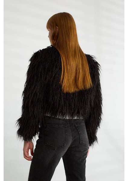 Taşlı Peluş-Jean Mont fırsatları