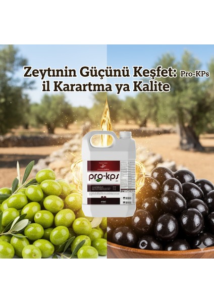 Luxor Kps K₂o:25 So₃:42 – Potasyum Tiyosülfat (Kts) Sıvı Gübre 1 Lt – Yüksek Potasyum ve Kükürt Içeriği fiyatları